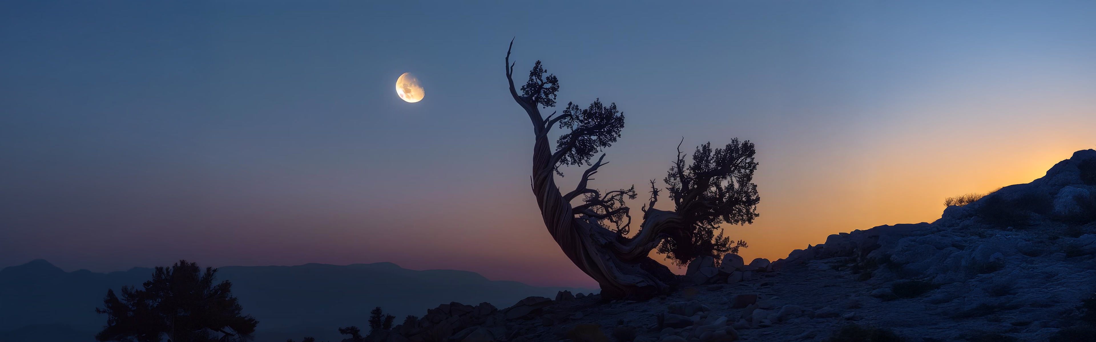 Banner zur Werbung für die Vollmondaktion im Juni, das den Mond in einer nächtlichen Landschaft mit einer nachdenklichen Atmosphäre zeigt